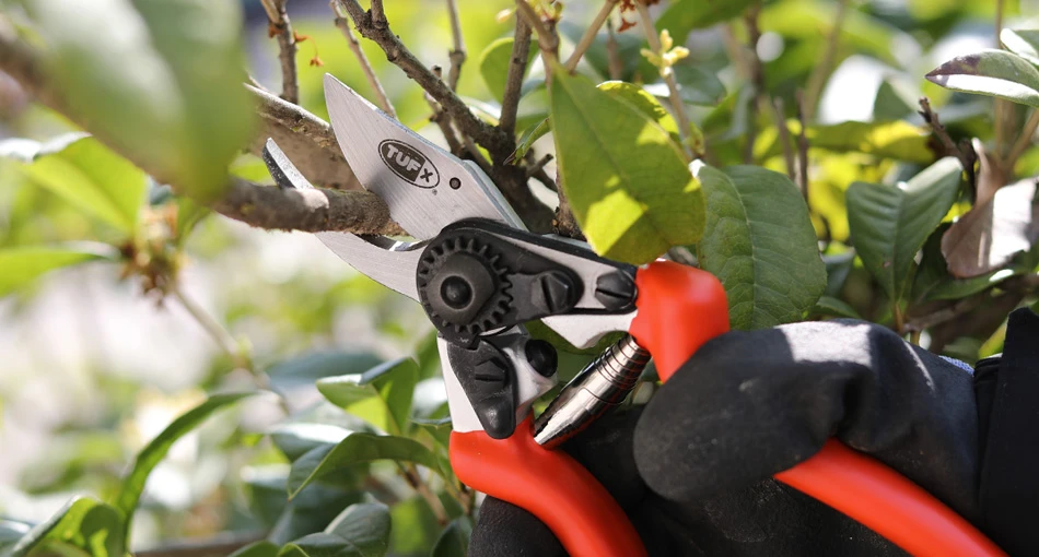 Garden Cutting Tools
