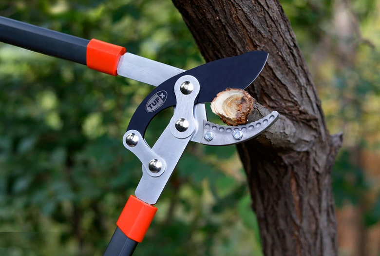 Garden Shears