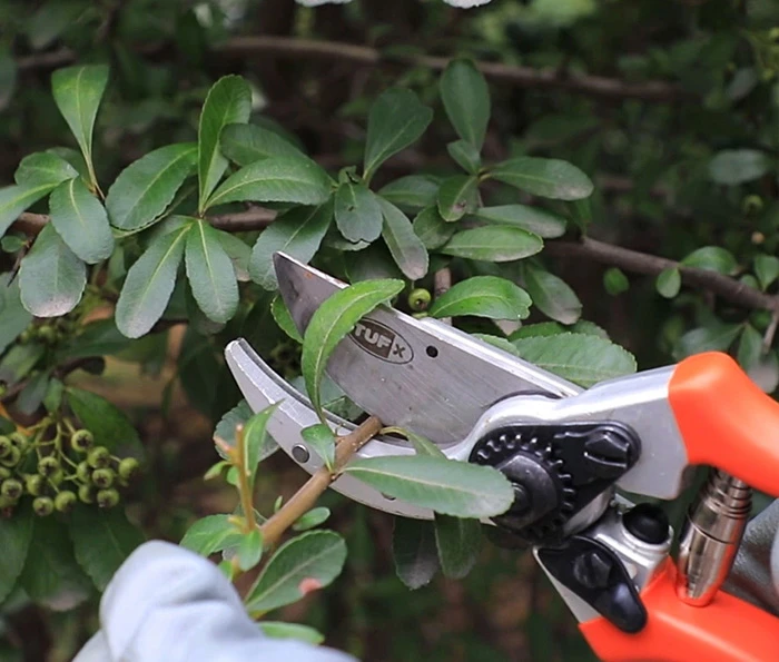 Hand Pruners