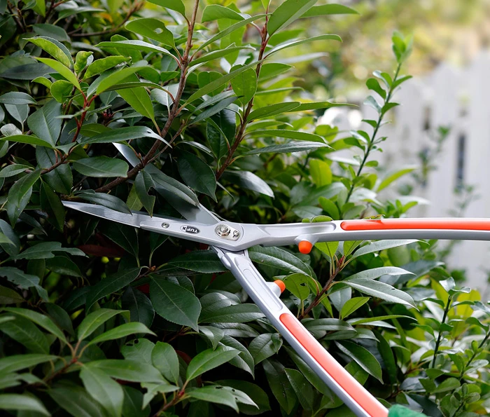 Hedge Shear
