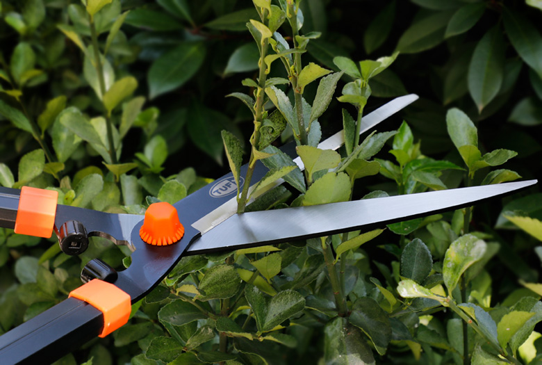 Garden Shears