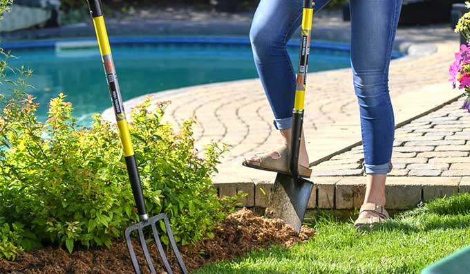 Beginner Garden Tips: Getting Started With Gardening - TUFX